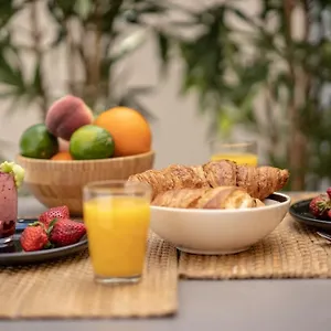 Appartement Studio Guimet Avec Terrasse Centre Lyon, Oullins
